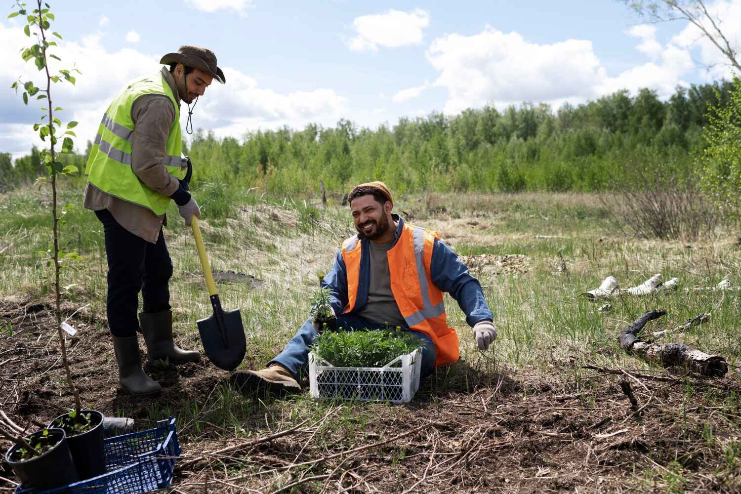 Best Tree Clearing Services  in Bradford Woods, PA